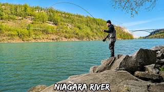 This Giant River is LOADED with Fish