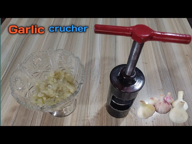 Tinkercad Easiest Way Garlic Twister Press Peeler Mincer and Chopper to Prep Garlic Multi-Usage Plastic Garlic Press Peeler Crusher Masher Twist Garlic Presses