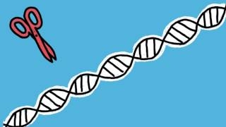 CRISPR.ML - Machine learning meets gene editing