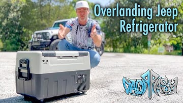 Inexpensive Overlanding Refrigerator - F40C4TMP - Amazon Car Refrigerator