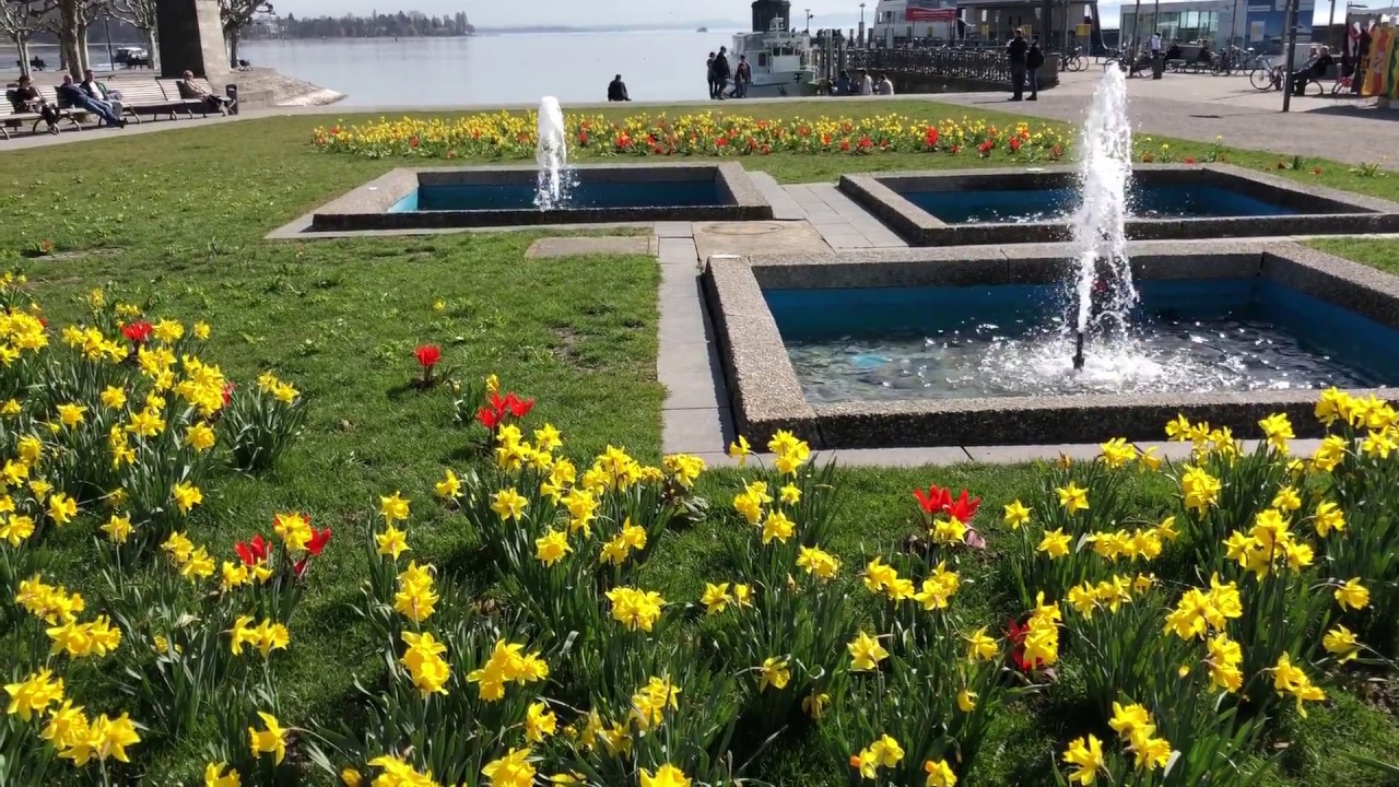Bodensee Konstanz Stadtgarten Blumen Springbrunnen YouTube
