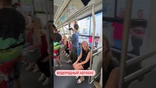 Водородный автобус. #shorts Лиса рулит