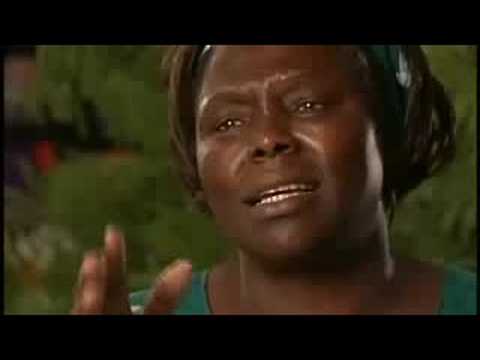 Wangari Maathai의 비전 뿌리를 내리다