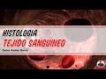 Histología - Tejido Sanguíneo (Plasma, Hematíes, Leucocitos y Plaquetas)