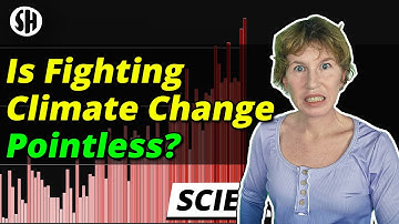 Is it pointless now to fight climate change?