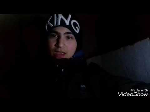 მივდივარ ძაღლებსთან