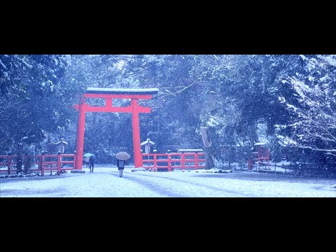 冬の京都 雪景色 世界遺産 雪の下鴨神社と河合神社 Beautiful snow scenery in Kyoto, a snowy shrine UNESCO World Heritage Site