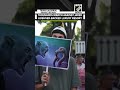Thousands march against Jared Kushner-backed luxury resort in Albania