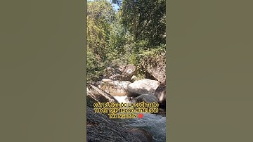 CÂY RỪNG ĐỘC LẠ SUỐI THÁC TUYỆT ĐẸP TRONG RỪNG SÂU TÂY NGUYÊN
