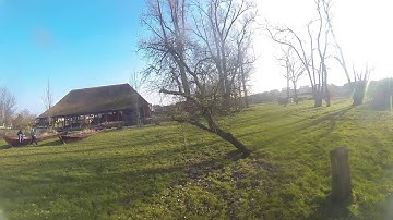 FPV - Tree dancing