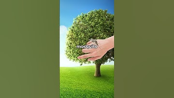 Why Do Mosquito Bites Itch? 🔥 #shorts #viral