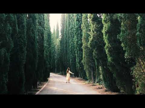 შოთა საგანელიძე, გაგა ნახუცრიშვილი | მონაკვეთი