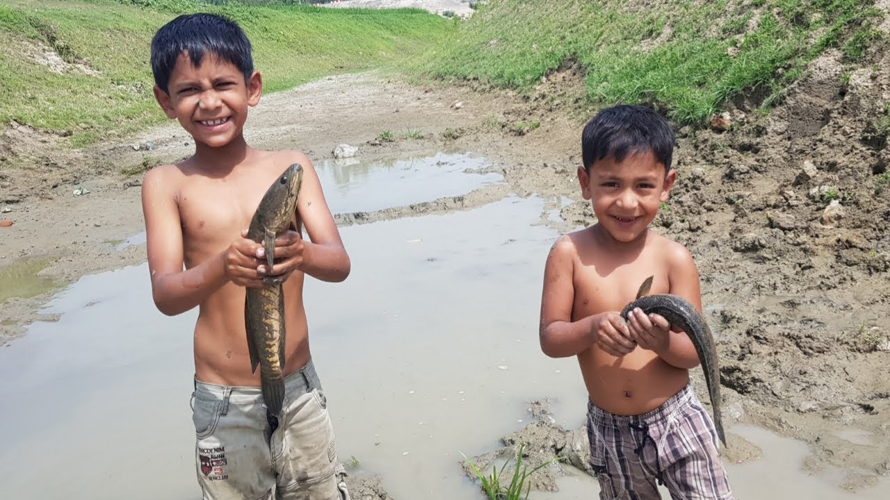 Amazing Boys Catching Big Catfish In Mud Water | Hand Fishing | Mud ...