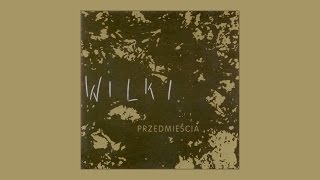 Video thumbnail of "Wilki - N'Avoie (Official Audio)"