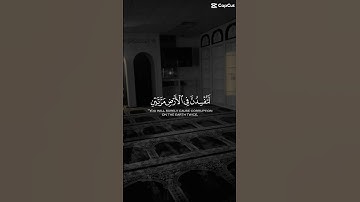 سورة الإسراء ياسر الدوسري #ياسر_الدوسري #ياسرالدوسري #القارء #القرآن_الكريم #القرآن #القران