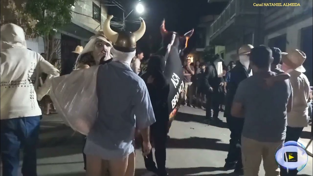 BOI ASA BRANCA ANIMA AS NOITE DA CIDADE DE URUBURETAMA.