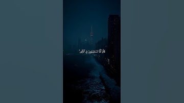 سورة النساء القارئ محمد اللحيدان || تلاوة تقشعر لها الابدان #trending #اكسبلور #العظماء #viral #لايك