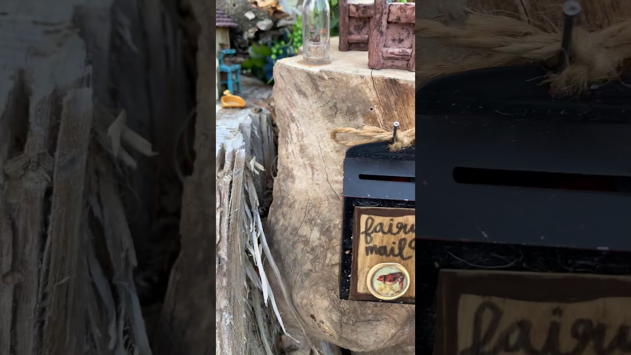 Fairy broom kits left at tree stump today