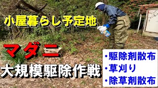 小屋暮らし予定地のマダニを大規模駆除した結果……