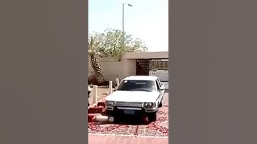 Arabic Style Salam alaikum in joking #shrots #viralshorts #youtubeshorts