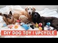 DIY Dog Toys | Upcycle