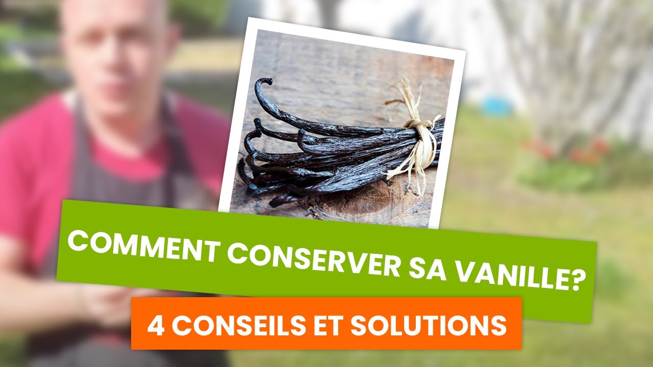 Comment conserver la vanille : toutes les astuces de conservation