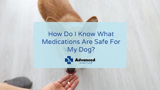 How Do I Know What Medications Are Safe For My Dog? by Advanced Animal Care 53 views 2 years ago 1 minute, 24 seconds