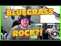 Thunderstruck By Steve 'n' Seagulls (Bluegrass) Reaction