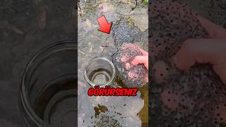 Bunları Görürseniz Sakın Korkmayın