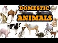 #kidsvideos #kidsfun #kids घरेलू जानवरों के नाम / Domestic Animals name