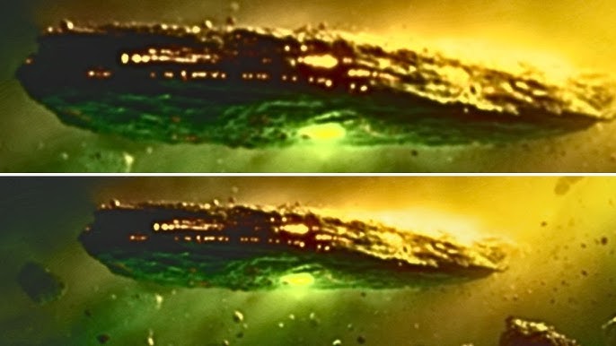 NASA STUNNED by James Webb's Image of 3I/ATLAS – A New 'Oumuamua! - YouTube