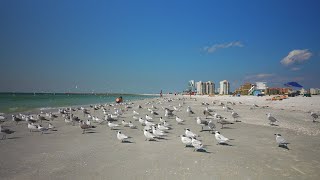 Sand Key Beach- Clearwater Florida