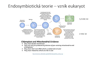 Jaké jsou reakce chemie v každodenním životě?
