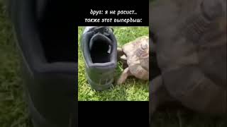 АгА ПоЛуЧиЛ чЁрНыЙ#мем#чёрный#shorts