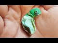 The Most Incredible Animal Births in the World | Baby Chameleon!