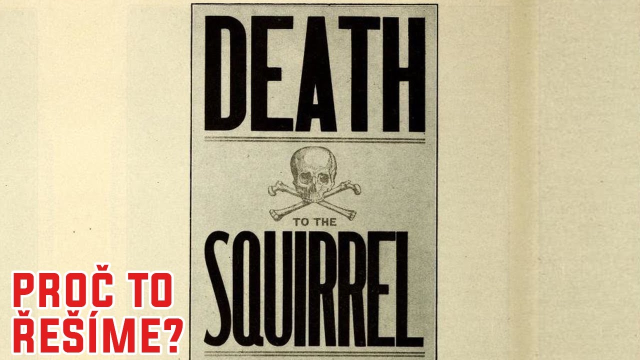 Podivné války proti krysám a veverkám - Proč to řešíme? #1038