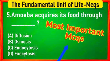 The Fundamental Unit of Life Class 9 MCQs Questions with Answers