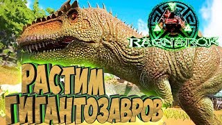 ВЫРАЩИВАЕМ ГИГАНТОЗАВРОВ - ARK Survival Evolved Выживание на Ragnarok #22