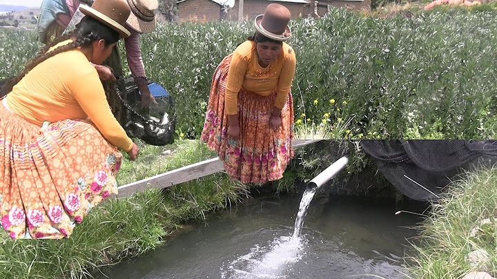 COMO SE CRÍAN LAS TRUCHAS O SALMONES EN EL CAMPO - Cocina Con Mamila -