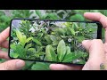 Samsung Galaxy A22 Camera test full Features