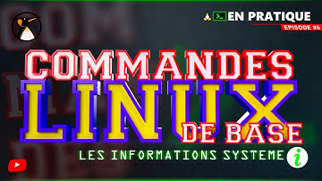 Commandes Linux de Base - Chapitre 6 : Informations système