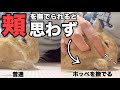 コレってウチだけ？頬を撫でられると力が入ってしまううさぎ #636