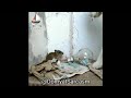 كوز بيره