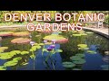 Denver Botanic Garden - Colorado