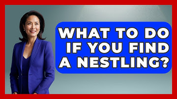 What To Do If You Find A Nestling? - Bird Watching Diaries