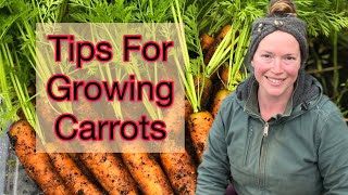 Tips For Growing Carrots / Starting Seeds | Zone 8b PNW