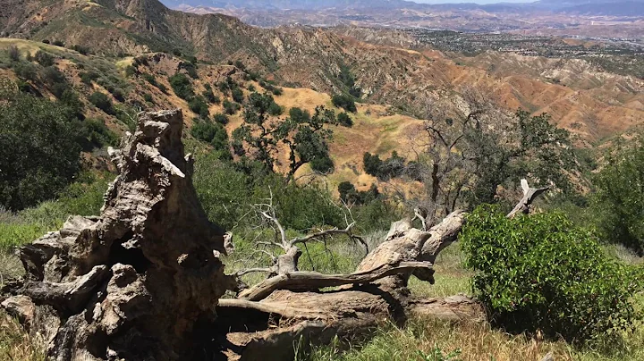 Towsley Cyn