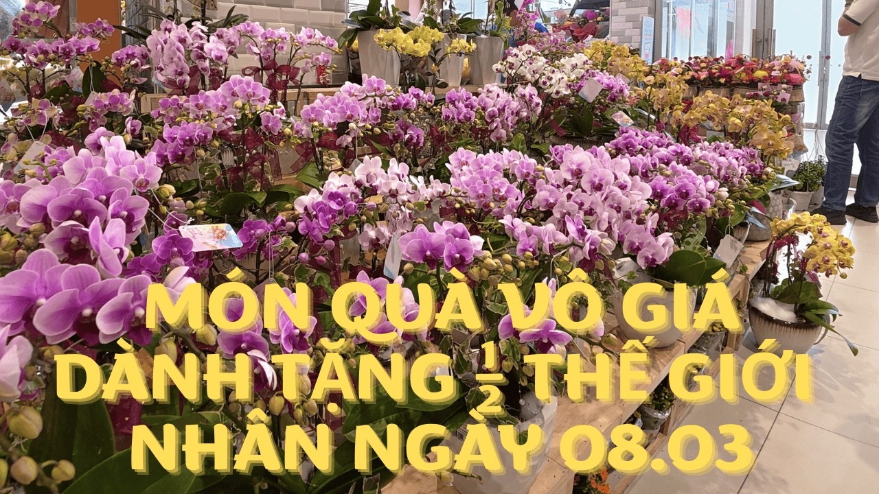 Thị trường hoa tri ân ngày Quốc Tế Phụ Nữ 08.03 | TRONG TUAN BT