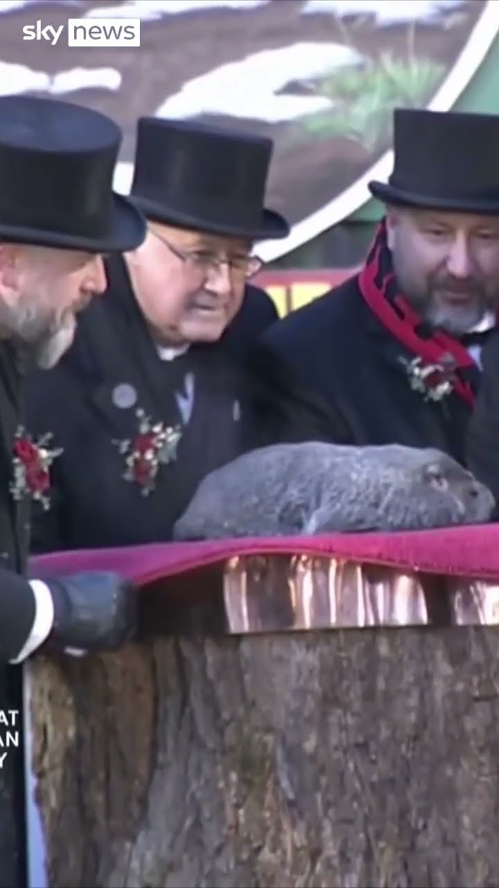 Punxsutawney Phil makes Groundhog Day prediction