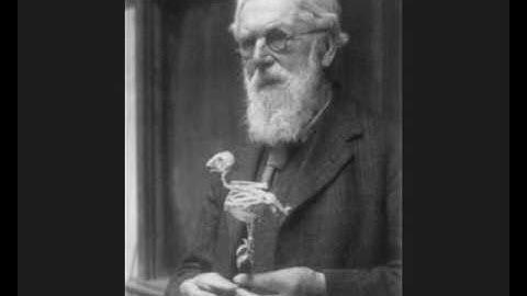 on growth and form 5